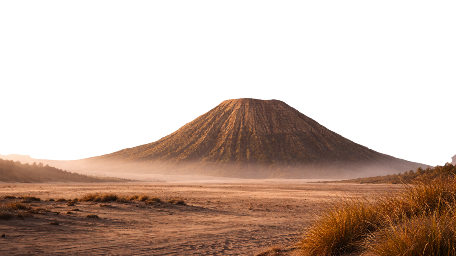 ilustrasi destinasi gunung bromo pada desain website travel profesional